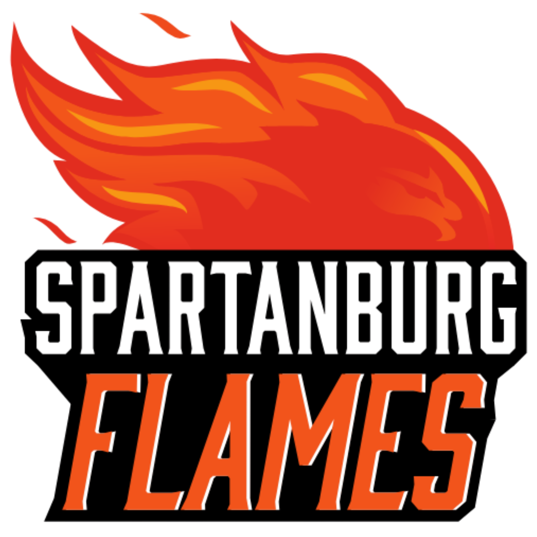Team Logo